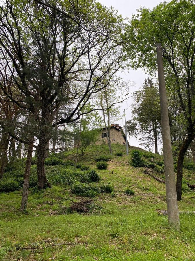 Naturemugello Oasi Naturista Dicomano Exterior photo